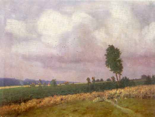 Sunflower Field 1898