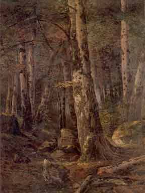 Wood 1899